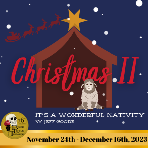 Christmas II Its a wonderful Nativity